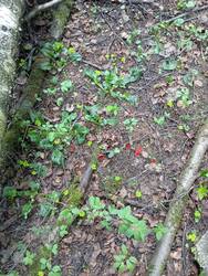 IMG_20260510_164354.jpg