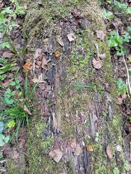 IMG_20260510_164527.jpg