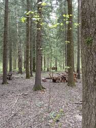 IMG_20260512_152222.jpg