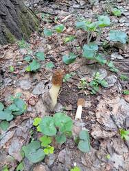 IMG_20260512_162522.jpg