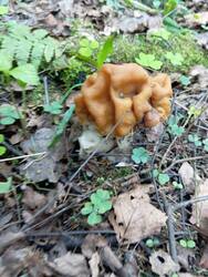 IMG_20260512_170256.jpg