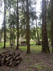 IMG_20260512_172624.jpg