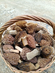 IMG_20260516_225313.png