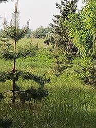 IMG_20260517_070619.jpg