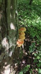 IMG_20260518_152238.jpg