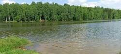 IMG_20260520_133745_719.thumb.jpg.d61bcca2e3d496173a10f99bf341a548.jpg
