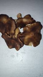 IMG_20260525_195537.jpg