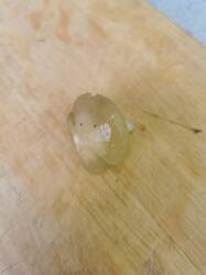 IMG_20260530_140917.thumb.jpg.58d38bbf0c7735dbd17023208b824b03.jpg