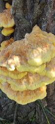 IMG_20260531_142841.jpg
