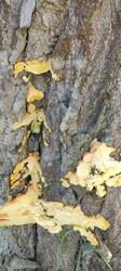 IMG_20260531_143340.jpg