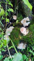 IMG_20260531_153309.jpg