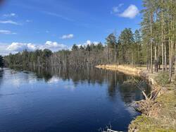 IMG_3706.jpeg