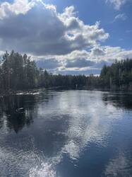 IMG_3709.jpeg