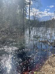 IMG_3711.jpeg