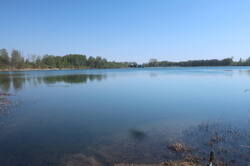 IMG_4990.JPG