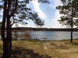 IMG_8108.thumb.JPG.74d24a655db4947391869c822f7bf43e.JPG