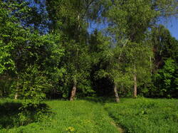 IMG_8337.thumb.JPG.e7c987ec51bb2e7022cc2284b795c93b.JPG