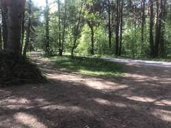 IMG_9425.JPG