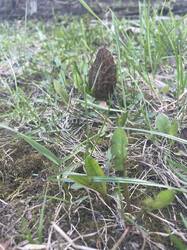 IMG_9760.jpeg