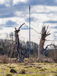 P4253033-ORF_DP_XD.jpg