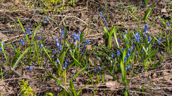 P4253051-ORF_DP_XD.jpg