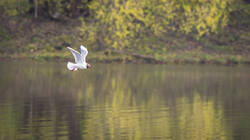 P5014305-ORF_DP_XD.jpg