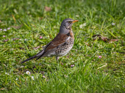 P5017984-ORF_DP_XD.jpg