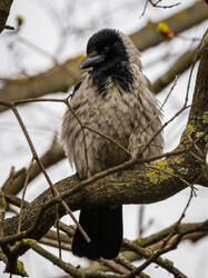 P5018344-ORF_DP_XD.jpg