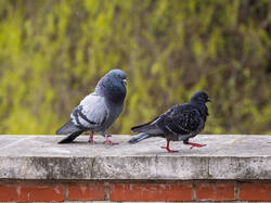 P5018480-ORF_DP_XD.jpg