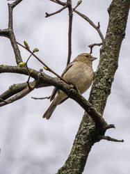 P5019228-ORF_DP_XD.jpg