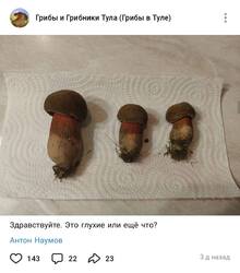 Screenshot_2026-05-26-14-02-53-507_com.vkontakte.android-edit.jpg
