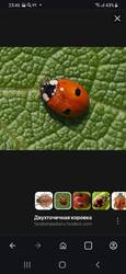 Screenshot_20260514-234605_Opera.thumb.jpg.40519500e0dc763d42daf60341cfca15.jpg