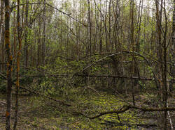 _5091204-ORF_DP_XD.jpg