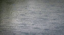 _5161437-ORF_DP_XD.thumb.jpg.b35249f1094cd6ebeed1e1de59676acd.jpg