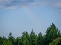 _5161531-ORF_DP_XD.thumb.jpg.8701bdc1e2001dac72af144f9214ed2a.jpg