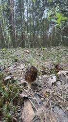 image-08-05-26-22-48-15.jpeg