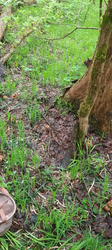 image.thumb.png.391fade3ef78fbc4f4b4fe70fd0b7314.png