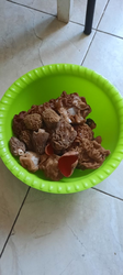 image.thumb.png.3eace388786d0611515c1992f86d87b7.png