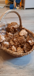 image.thumb.png.75c6f347f975ebc10ffc4ed14d0364db.png