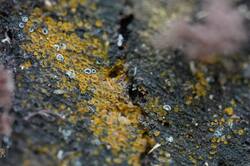1193482545_26-06-12-(2).thumb.JPG.8c06a0b5d506ac1b73b406065d9ecddf.JPG