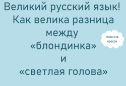 scale_2400 (4).png