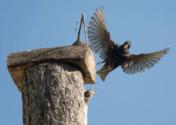 1400_DSC_0666.thumb.jpg.b73b3286173b5fef03ab4d9867bfe036.jpg