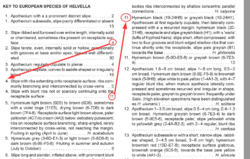 1444525673_2026-06-0612_19_59-s9.pdf-AdobeAcrobatReader(64-bit).thumb.png.f978abcdbe76775b65c3cb54730706cd.png