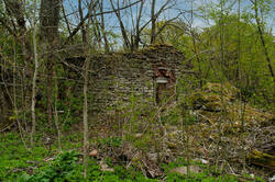 1704616833__9743(1)_AIE.thumb.jpg.a3417a40a2f41c2f0428493038c062a1.jpg