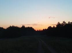 1780766637440.thumb.jpg.241dd3e4706688d2ef796743afce3dcd.jpg