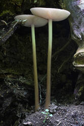 DSC08568а.jpg