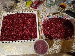 20250919_212004.thumb.jpg.dd709747cc98f6c4e70340e3f763fbaa.jpg