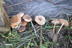 2026-06-16-17_34.22_ZS_PMax.thumb.jpg.d58b2f86c1dd964589f08cbc2d03baa9.jpg