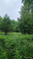 2026-06-22_005535.png