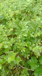 2026-06-22_005601.png